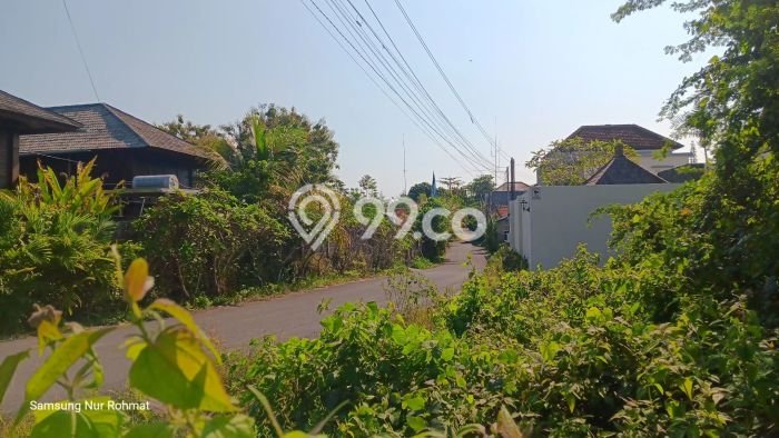 Tanah Dijual di Badung Seluas 8000m2 Strategis Tanah Dijual di Badung Seluas 8000m2 Strategis