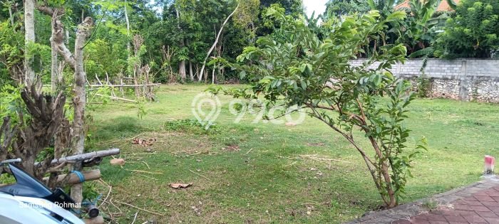 Untuk Dijual Tanah di Badung, Luas 600m2 SHM Untuk Dijual Tanah di Badung, Luas 600m2 SHM