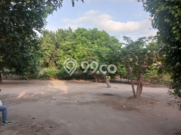 GOOD DEAL! Rumah Premium di , LT 1630m2m² LB 300m2m² GOOD DEAL! Rumah Premium di , LT 1630m2m² LB 300m2m²