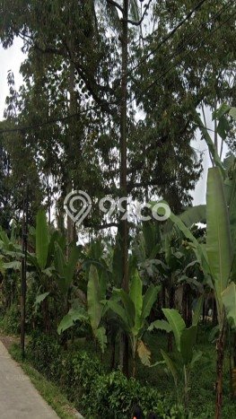 Tanah Dijual Lokasi Subang Kota, Subang Luas 16125m2 Legalitas Aman Tanah Dijual Lokasi Subang Kota, Subang Luas 16125m2 Legalitas Aman