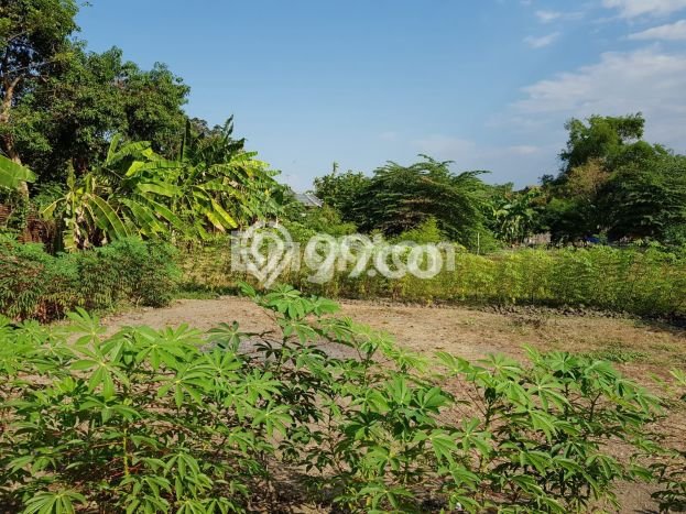 Tanah Dijual Lokasi Jabon Sidoarjo SHM Tanah Dijual Lokasi Jabon Sidoarjo SHM
