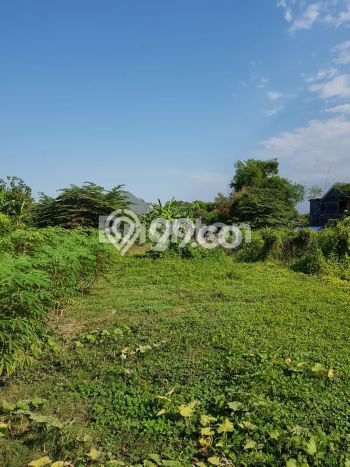 Tanah Dijual Lokasi Jabon Sidoarjo SHM Tanah Dijual Lokasi Jabon Sidoarjo SHM
