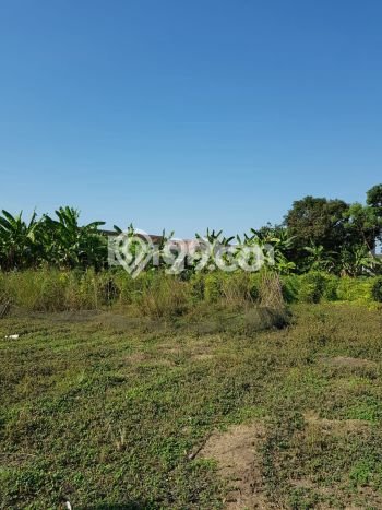 Tanah Dijual Lokasi Jabon Sidoarjo SHM Tanah Dijual Lokasi Jabon Sidoarjo SHM