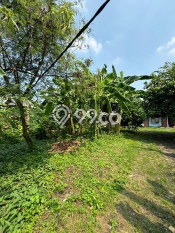 Lahan Disewakan Lokasi Batu Ceper Tangerang Luas 1000m2 Lahan Disewakan Lokasi Batu Ceper Tangerang Luas 1000m2