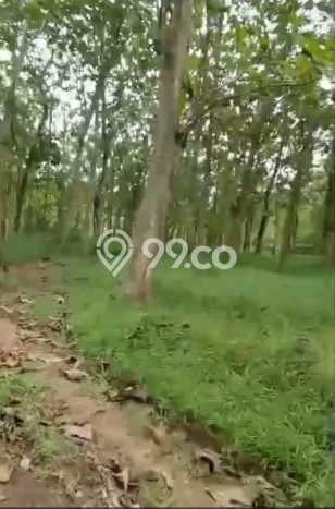 Untuk Dijual Tanah di Tigaraksa Tangerang Luas 64000m2 SHM Untuk Dijual Tanah di Tigaraksa Tangerang Luas 64000m2 SHM