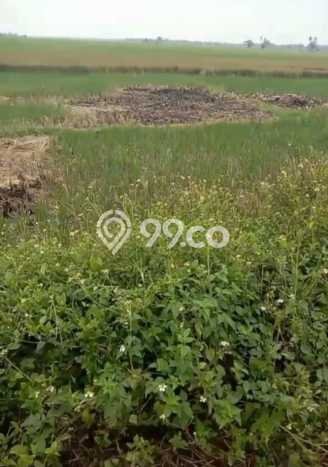 Lahan untuk Dijual Lokasi Mauk, Tangerang Luas 120000m2 SHM Lahan untuk Dijual Lokasi Mauk, Tangerang Luas 120000m2 SHM