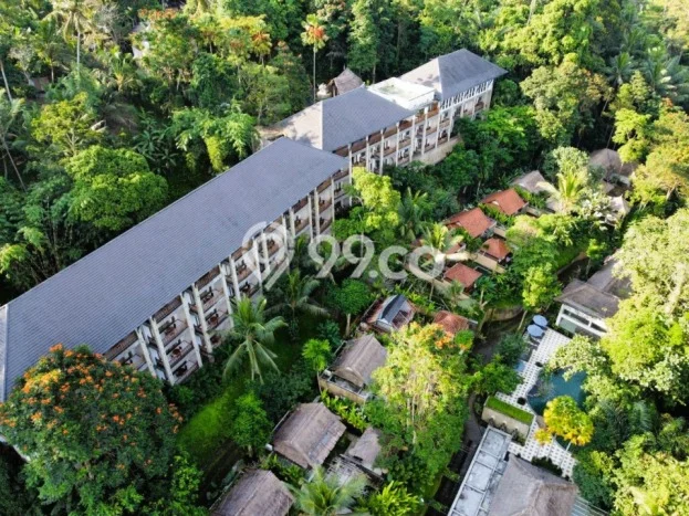 INVESTASI CERDAS! Hotel di Ubud, Luas 13168m2m², Lokasi Strategis INVESTASI CERDAS! Hotel di Ubud, Luas 13168m2m², Lokasi Strategis