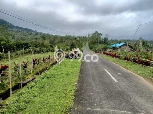 Tanah Dijual Lokasi Kintamani, Bangli Luas 3300m2 Legalitas Aman Tanah Dijual Lokasi Kintamani, Bangli Luas 3300m2 Legalitas Aman