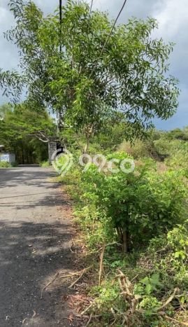 Kavling Tanah untuk Dijual di Jimbaran, Badung, Luas 1930m2 Kavling Tanah untuk Dijual di Jimbaran, Badung, Luas 1930m2