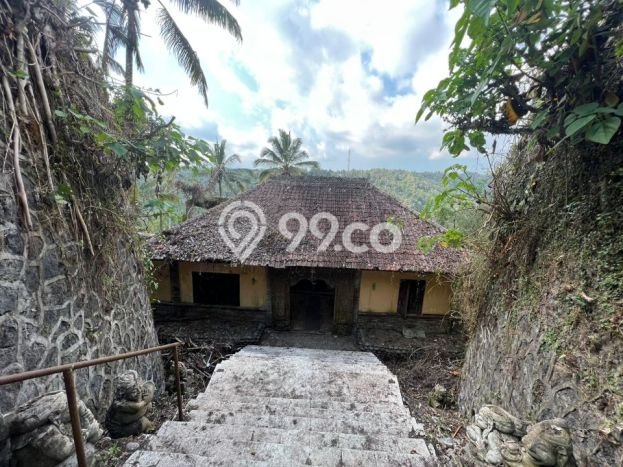Tanah di Payangan, Gianyar Luas 5300m2 Dijual Segera Tanah di Payangan, Gianyar Luas 5300m2 Dijual Segera