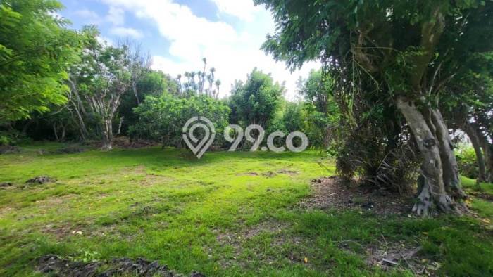 Tanah Kavling Dijual di Badung dengan Spesifikasi 27900m2 Tanah Kavling Dijual di Badung dengan Spesifikasi 27900m2