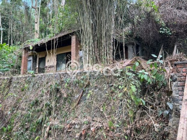 Tanah di Payangan, Gianyar Luas 5300m2 Dijual Segera Tanah di Payangan, Gianyar Luas 5300m2 Dijual Segera