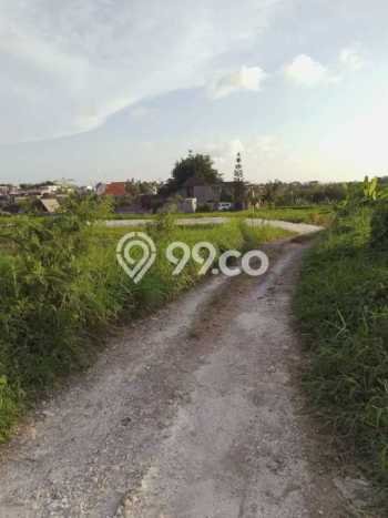 Tanah Dijual Lokasi Strategis di Badung dengan Luas 2980m2 Tanah Dijual Lokasi Strategis di Badung dengan Luas 2980m2