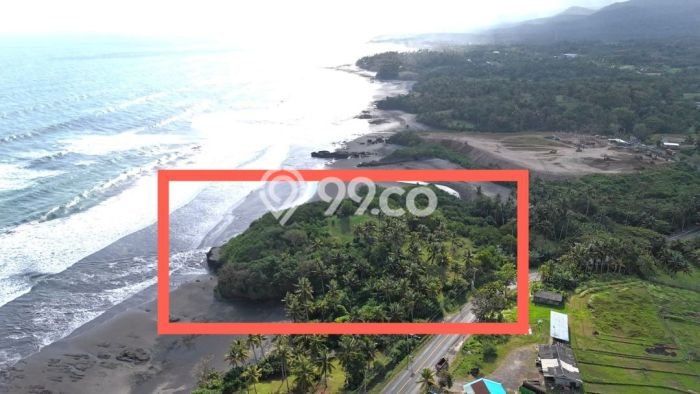 Tanah Investasi Dijual di Tabanan Punya Luas 27850m2 Tanah Investasi Dijual di Tabanan Punya Luas 27850m2