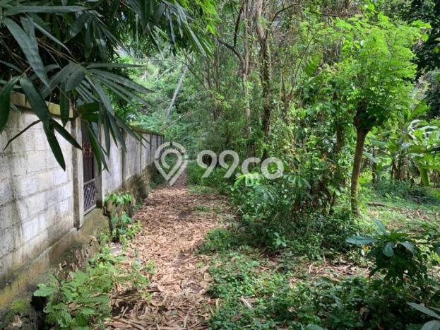 Tanah Kavling Dijual di Buwit, Tabanan dengan Luas Tanah 5000m2 Tanah Kavling Dijual di Buwit, Tabanan dengan Luas Tanah 5000m2