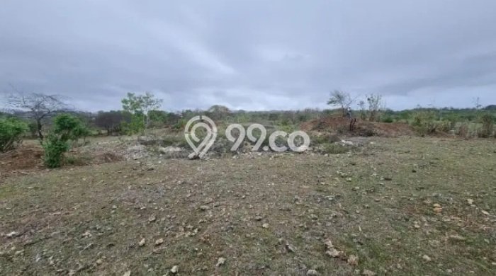 Untuk Dijual Tanah 10000m2 di uluwatu, Badung Untuk Dijual Tanah 10000m2 di uluwatu, Badung