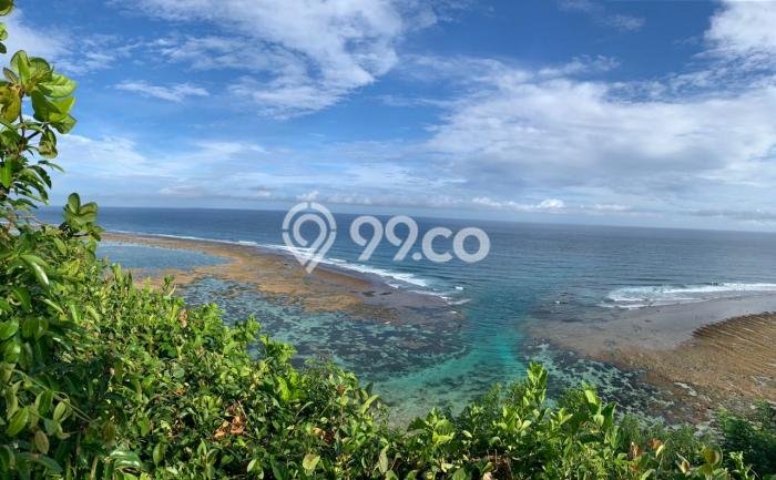 Tanah Kavling Dijual di Badung dengan Spesifikasi 27900m2 Tanah Kavling Dijual di Badung dengan Spesifikasi 27900m2