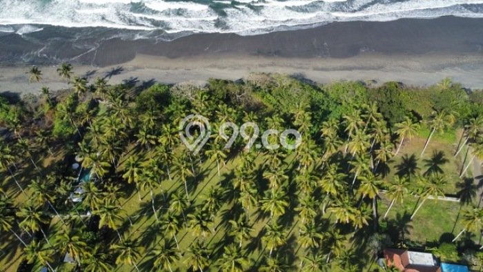 Tanah Kavling di Pekutatan Dijual dengan Luas 3830m2 Tanah Kavling di Pekutatan Dijual dengan Luas 3830m2