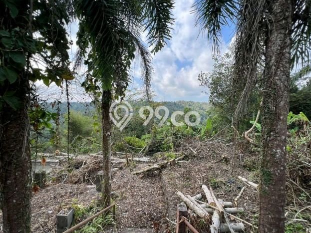 Tanah di Payangan, Gianyar Luas 5300m2 Dijual Segera Tanah di Payangan, Gianyar Luas 5300m2 Dijual Segera