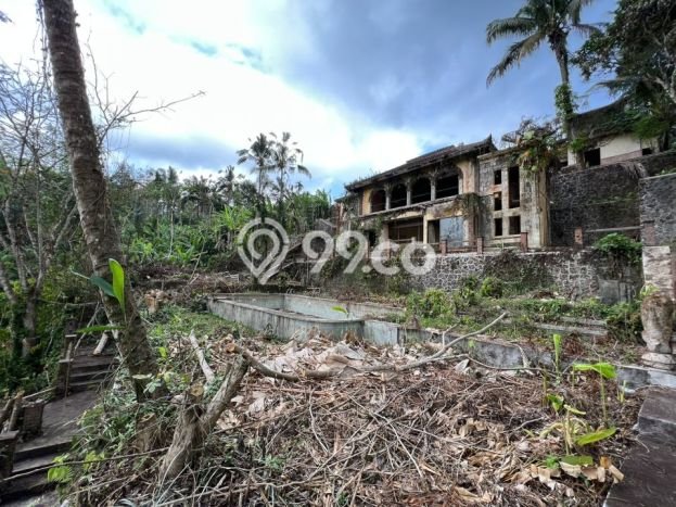 Tanah di Payangan, Gianyar Luas 5300m2 Dijual Segera Tanah di Payangan, Gianyar Luas 5300m2 Dijual Segera