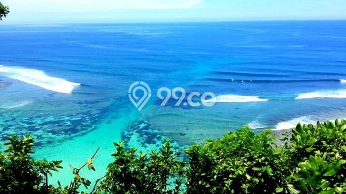 Tanah Kavling Dijual di Badung dengan Spesifikasi 27900m2 Tanah Kavling Dijual di Badung dengan Spesifikasi 27900m2