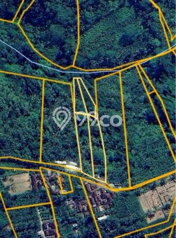Tanah di Payangan, Gianyar Luas 5300m2 Dijual Segera Tanah di Payangan, Gianyar Luas 5300m2 Dijual Segera