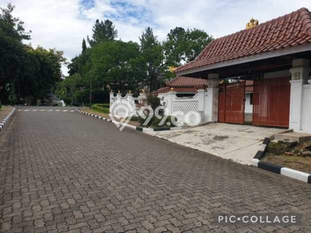 Disewakan Cepat Rumah Kondisi Bagus di Area Cinere, Depok Disewakan Cepat Rumah Kondisi Bagus di Area Cinere, Depok