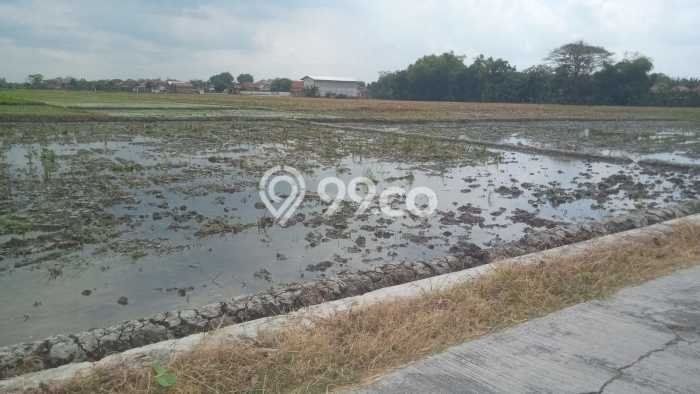 Lahan untuk Dijual Lokasi Sidoharjo, Sragen Luas 3890m2 - Lahan untuk Dijual Lokasi Sidoharjo, Sragen Luas 3890m2 -