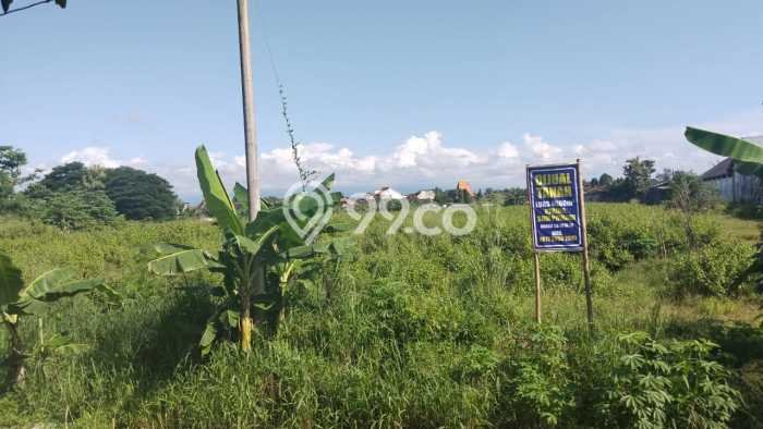 Lahan untuk Dijual Lokasi Ceper, Klaten Luas 2350m2 SHM Lahan untuk Dijual Lokasi Ceper, Klaten Luas 2350m2 SHM