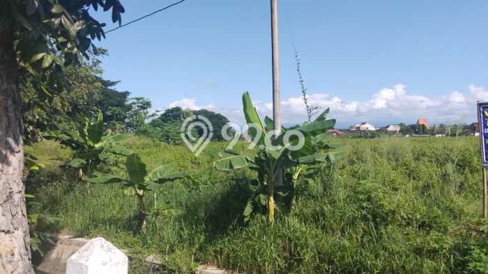 Lahan untuk Dijual Lokasi Ceper, Klaten Luas 2350m2 SHM Lahan untuk Dijual Lokasi Ceper, Klaten Luas 2350m2 SHM