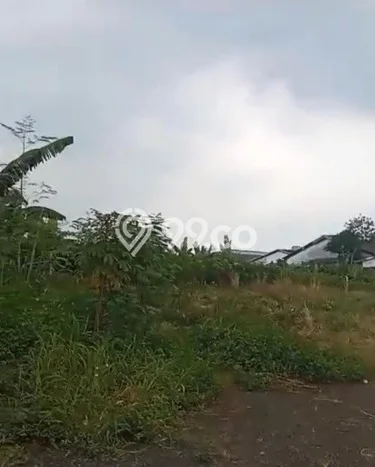 Tanah Dijual Lokasi Jati Uwung, Tangerang Luas 28000m2 Legalitas Aman Tanah Dijual Lokasi Jati Uwung, Tangerang Luas 28000m2 Legalitas Aman