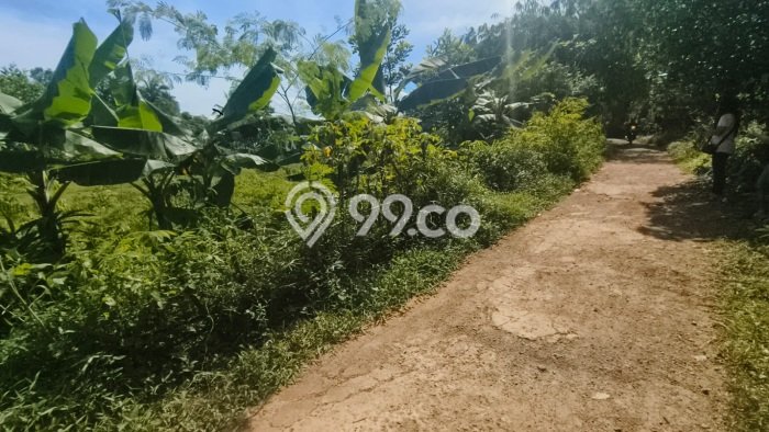 Tanah untuk Dijual di Jambe Tangerang Luas 1683m2 Tanah untuk Dijual di Jambe Tangerang Luas 1683m2