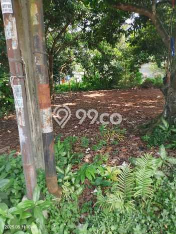 Tanah Kavling di Cisauk Dijual dengan Luas 250m2 Tanah Kavling di Cisauk Dijual dengan Luas 250m2