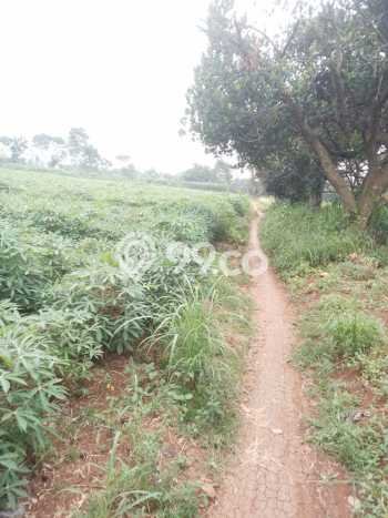 Tanah untuk Dijual Lokasi Ciseeng, Bogor Luas 50000m2 SHM Tanah untuk Dijual Lokasi Ciseeng, Bogor Luas 50000m2 SHM