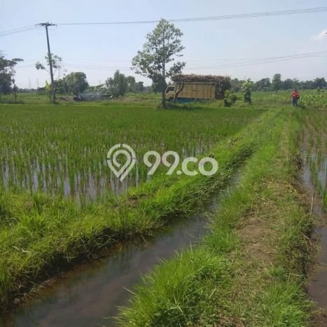 Tanah Area Berkembang di Winongan, Luas 5530m2m², Lingkungan Nyaman, Dekat Winongan, Pasuruan, Pasuruan Tanah Area Berkembang di Winongan, Luas 5530m2m², Lingkungan Nyaman, Dekat Winongan, Pasuruan, Pasuruan