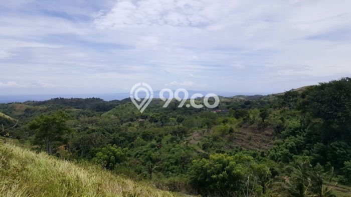 Tanah untuk Dijual di Pejukutan Semarapura Luas 500m2 Tanah untuk Dijual di Pejukutan Semarapura Luas 500m2