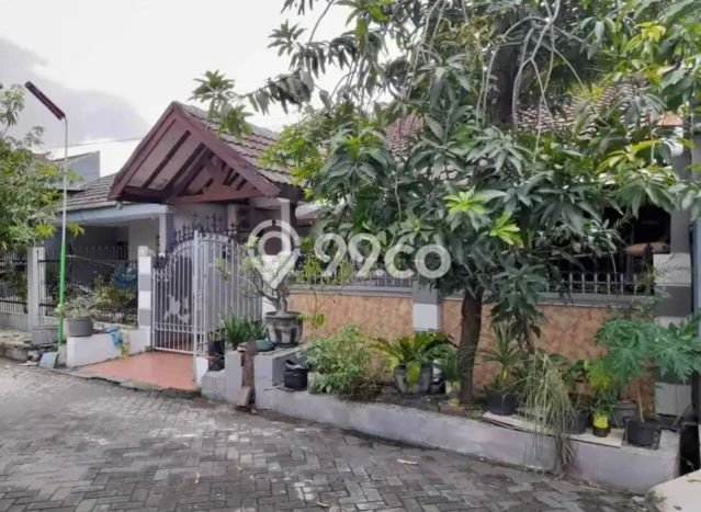 Rumah Luas Asri 3 KT Siap Pakai di Sutorejo Surabaya Rumah Luas Asri 3 KT Siap Pakai di Sutorejo Surabaya