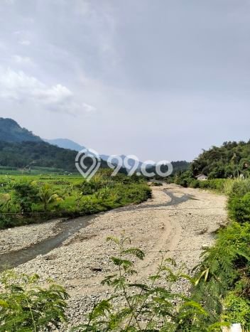 Kavling Tanah Dijual di Tanjungsari Bogor Spesifikasi 1000m2 Kavling Tanah Dijual di Tanjungsari Bogor Spesifikasi 1000m2