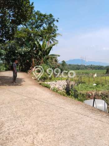 Tanah di Tanjungsari, Bogor Luas 1000m2 Dijual Segera Tanah di Tanjungsari, Bogor Luas 1000m2 Dijual Segera