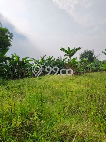 Tanah Kavling di Tanjungsari Dijual dengan Luas 5000m2 Tanah Kavling di Tanjungsari Dijual dengan Luas 5000m2