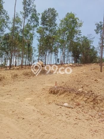 Tanah di Sukamakmur, Bogor Luas 100m2 Dijual Segera Tanah di Sukamakmur, Bogor Luas 100m2 Dijual Segera