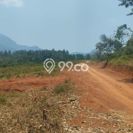 Tanah untuk Dijual di Tanjungsari Bogor Luas 1000m2 Tanah untuk Dijual di Tanjungsari Bogor Luas 1000m2