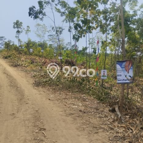 Tanah untuk Dijual di Tanjungsari Bogor Luas 1000m2 Tanah untuk Dijual di Tanjungsari Bogor Luas 1000m2