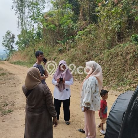 Tanah Dijual Lokasi Tanjungsari Bogor SHM Tanah Dijual Lokasi Tanjungsari Bogor SHM