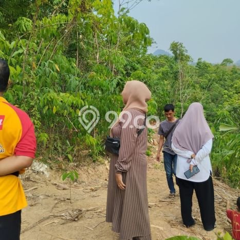 Tanah Dijual Lokasi Tanjungsari Bogor SHM Tanah Dijual Lokasi Tanjungsari Bogor SHM