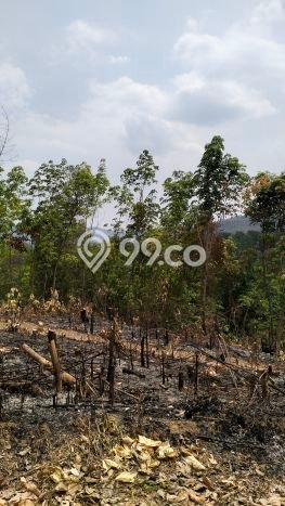Tanah Dijual Lokasi Tanjungsari Bogor SHM Tanah Dijual Lokasi Tanjungsari Bogor SHM