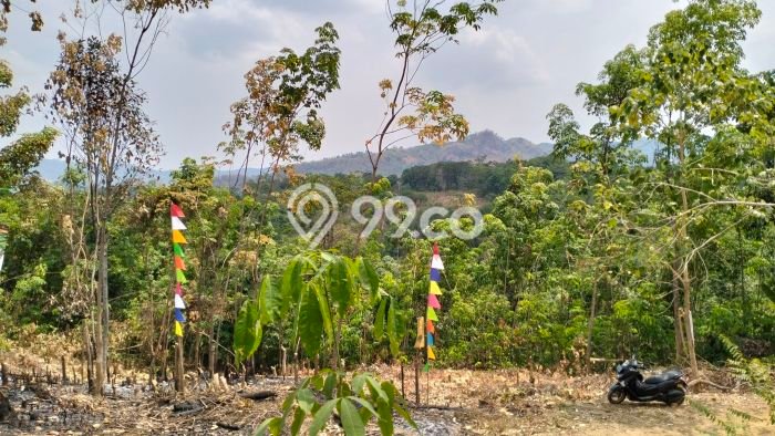 Tanah Dijual Lokasi Tanjungsari Bogor SHM Tanah Dijual Lokasi Tanjungsari Bogor SHM