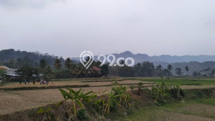 Lahan untuk Dijual di Tanjungsari Bogor Luas 1000m2 Lahan untuk Dijual di Tanjungsari Bogor Luas 1000m2