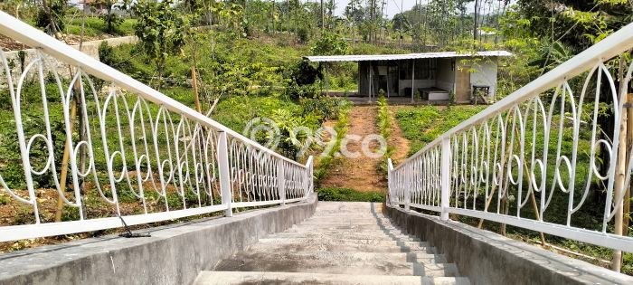 Dijual Tanah Lokasi Klapanunggal, Bogor Seluas 100m2 Dijual Tanah Lokasi Klapanunggal, Bogor Seluas 100m2