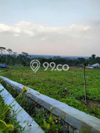 Dijual Tanah Lokasi Klapanunggal, Bogor Seluas 100m2 Dijual Tanah Lokasi Klapanunggal, Bogor Seluas 100m2